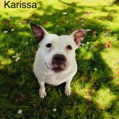 Karissa