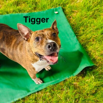Tigger