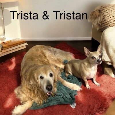 Tristan and Trista (bonded pair)