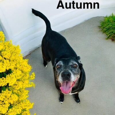 Autumn