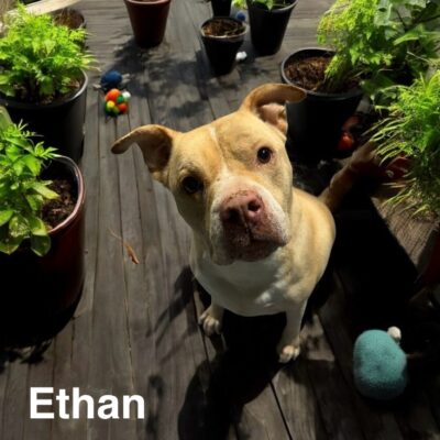 Ethan