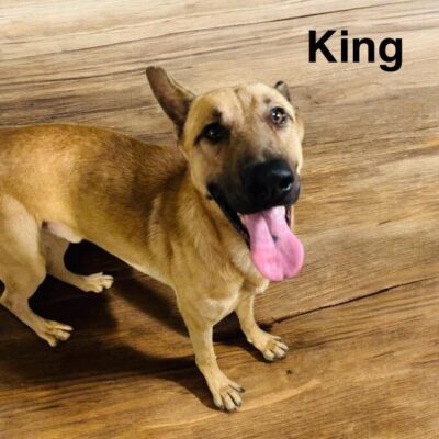 King