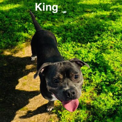 King