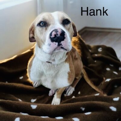 Hank