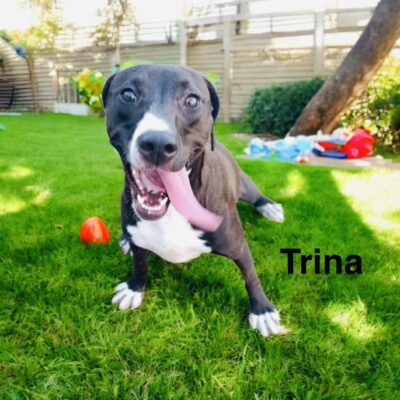 Trina