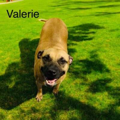 Valerie