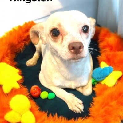 Kingston