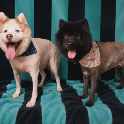 Fluffy and Mathers (bonded pair)
