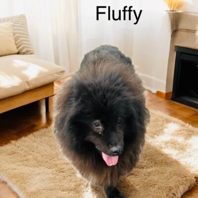 Fluffy
