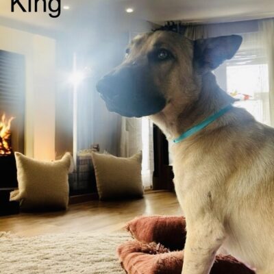 King