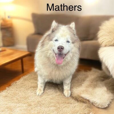 Mathers