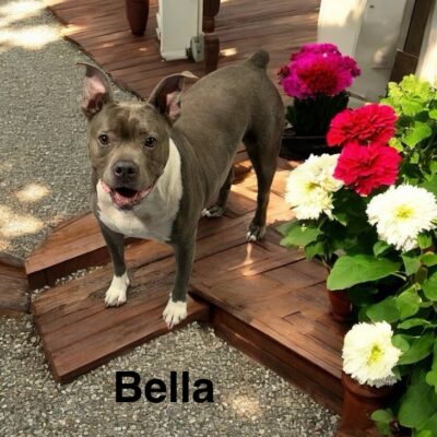Bella