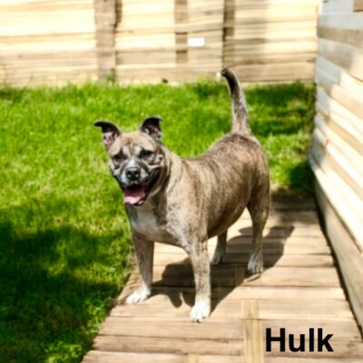 Hulk