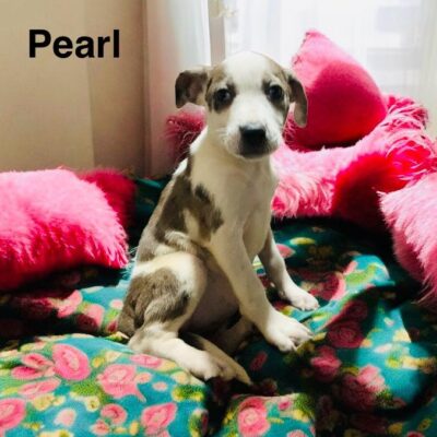 Pearl