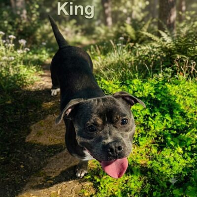 King