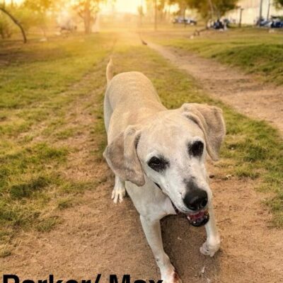Parker/ Max