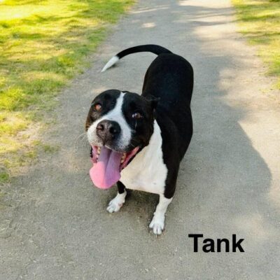 Tank