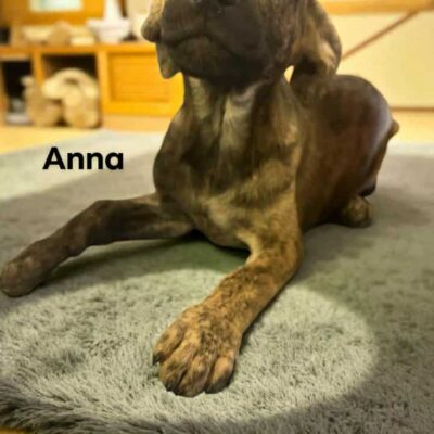 Anna