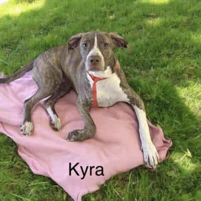 Kyra