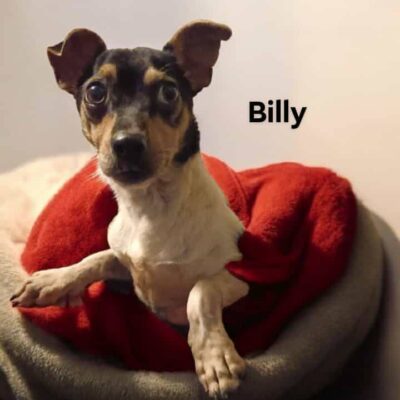 Billy