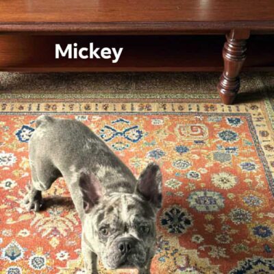 Micky
