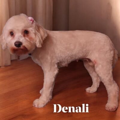 Denali
