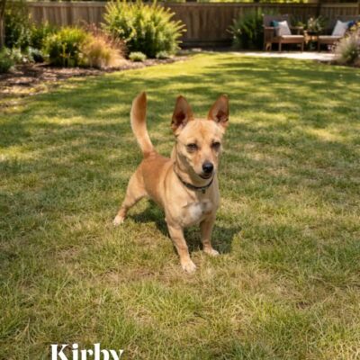 Kirby