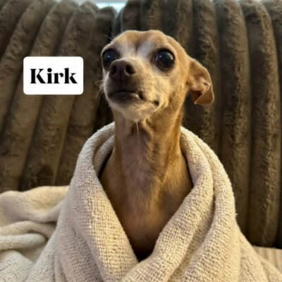 Kirk
