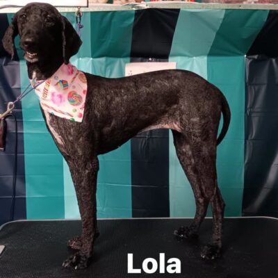 Lola