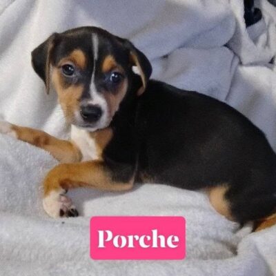 Porche