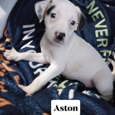 Aston