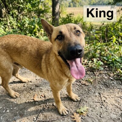 King2