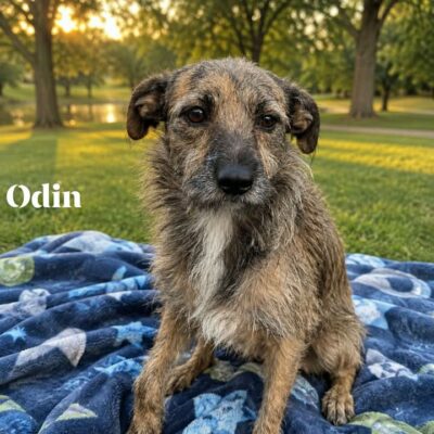 Odin