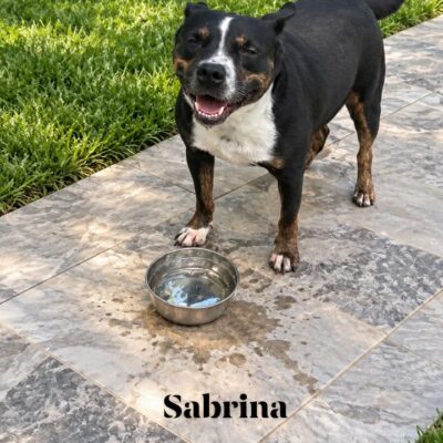 Sabrina